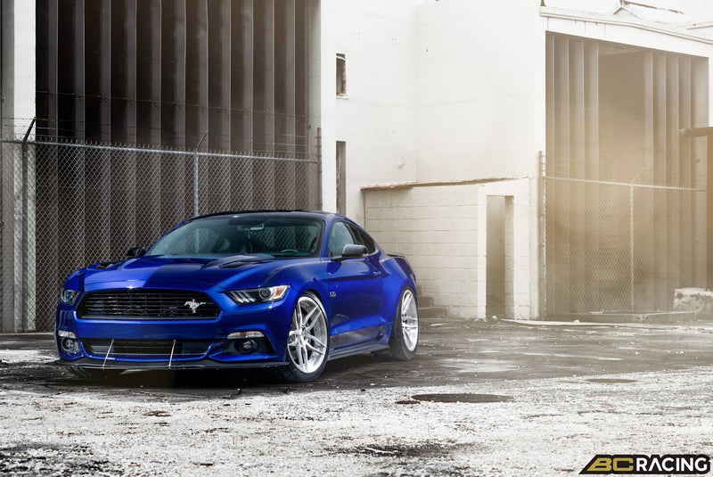 BC Racing 15-19 Ford Mustang Coilovers - Ecoboost, GT, and V6 Models