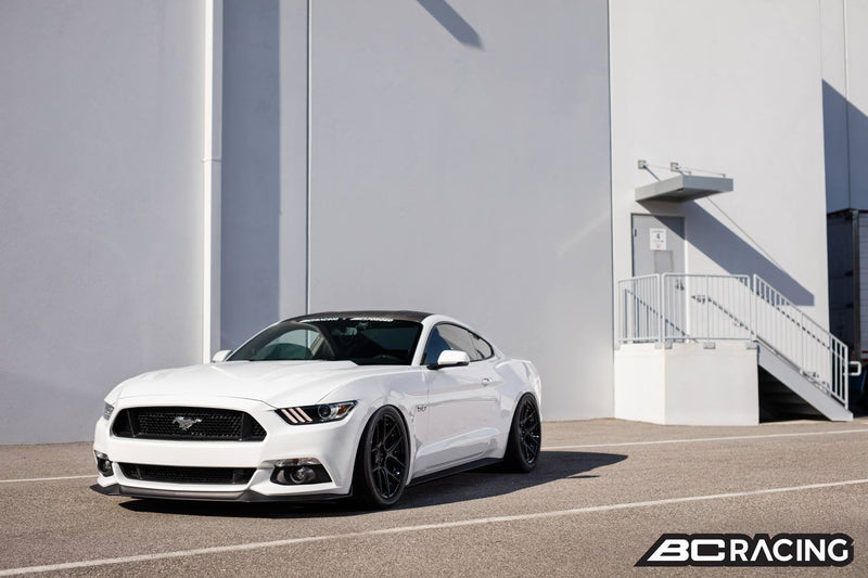 BC Racing 15-19 Ford Mustang Coilovers - Ecoboost, GT, and V6 Models