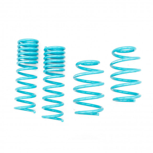Godspeed 14-19 Ford Escape Traction S Lowering Springs